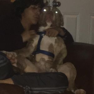 Meet your Posher, Edwin